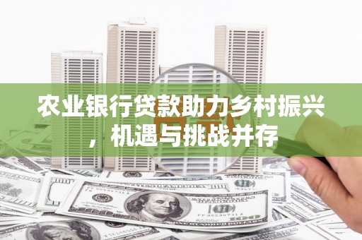 板桥农业银行贷款助力乡村振兴，机遇与挑战并存