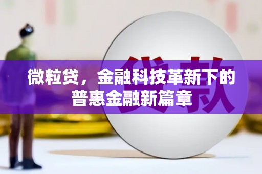 板桥微粒贷，金融科技革新下的普惠金融新篇章