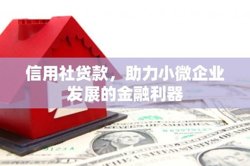 板桥信用社贷款，助力小微企业发展的金融利器