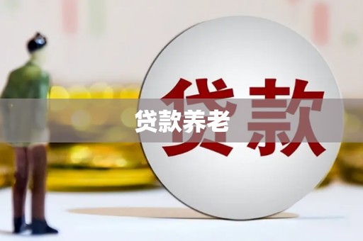 板桥贷款养老