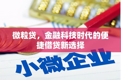 板桥微粒贷，金融科技时代的便捷借贷新选择