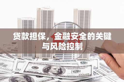 板桥贷款担保，金融安全的关键与风险控制