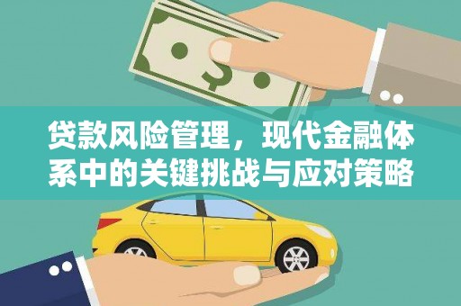 板桥贷款风险管理，现代金融体系中的关键挑战与应对策略