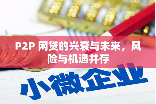板桥P2P 网贷的兴衰与未来，风险与机遇并存