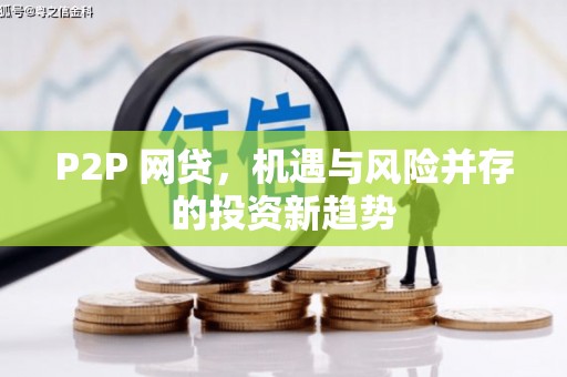板桥P2P 网贷，机遇与风险并存的投资新趋势