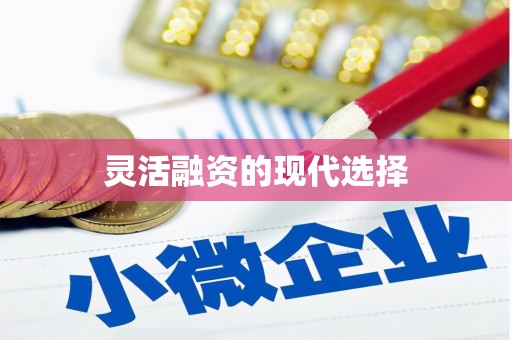 板桥灵活融资的现代选择