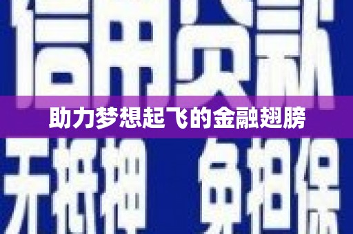 板桥助力梦想起飞的金融翅膀