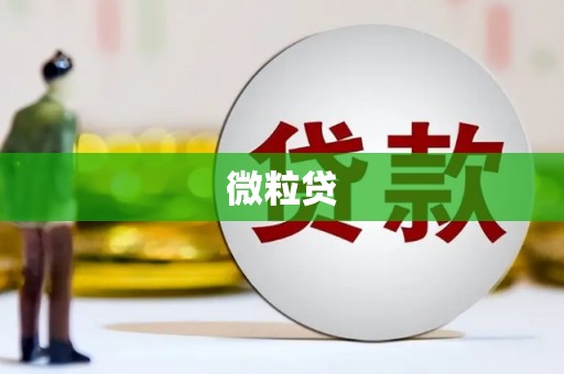 板桥微粒贷