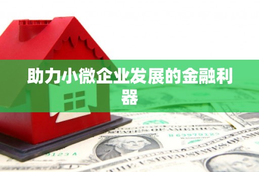 板桥助力小微企业发展的金融利器
