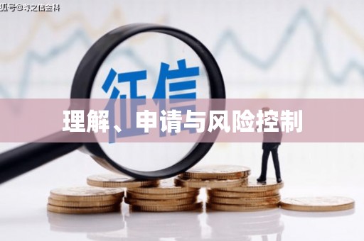 板桥理解、申请与风险控制