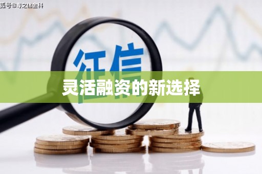 板桥灵活融资的新选择