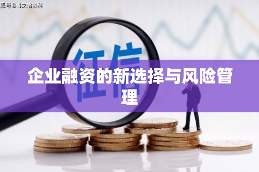 板桥企业融资的新选择与风险管理