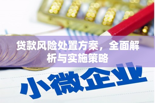 板桥贷款风险处置方案，全面解析与实施策略