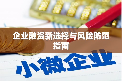 板桥企业融资新选择与风险防范指南