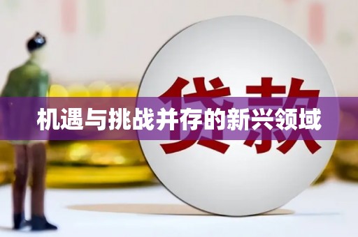 板桥机遇与挑战并存的新兴领域
