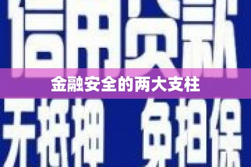 板桥金融安全的两大支柱