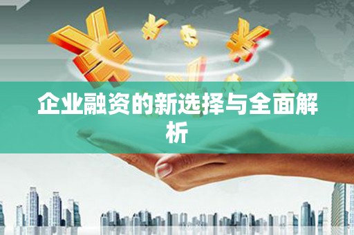 板桥企业融资的新选择与全面解析