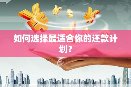 板桥如何选择最适合你的还款计划？