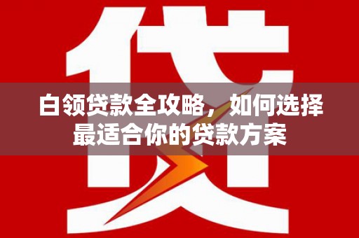 板桥白领贷款全攻略，如何选择最适合你的贷款方案
