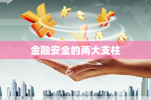 板桥金融安全的两大支柱
