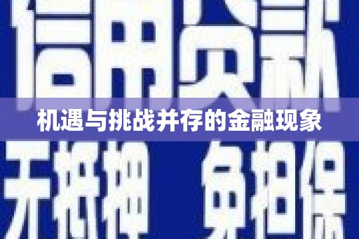 板桥机遇与挑战并存的金融现象