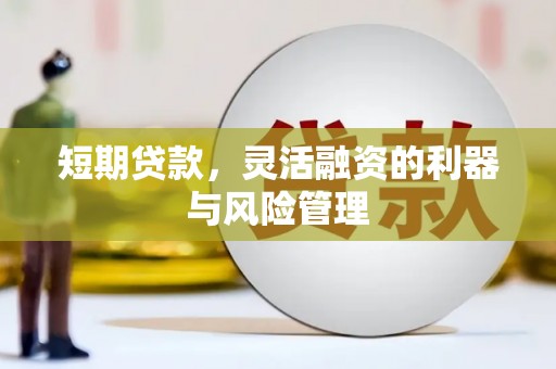 板桥短期贷款，灵活融资的利器与风险管理