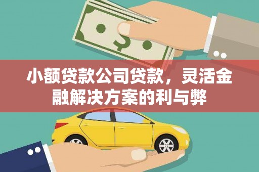 板桥小额贷款公司贷款，灵活金融解决方案的利与弊