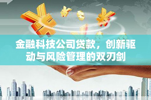 板桥金融科技公司贷款，创新驱动与风险管理的双刃剑