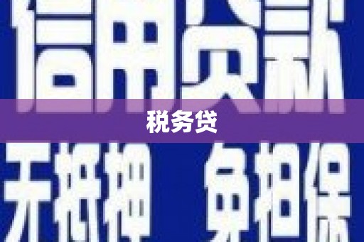 板桥税务贷